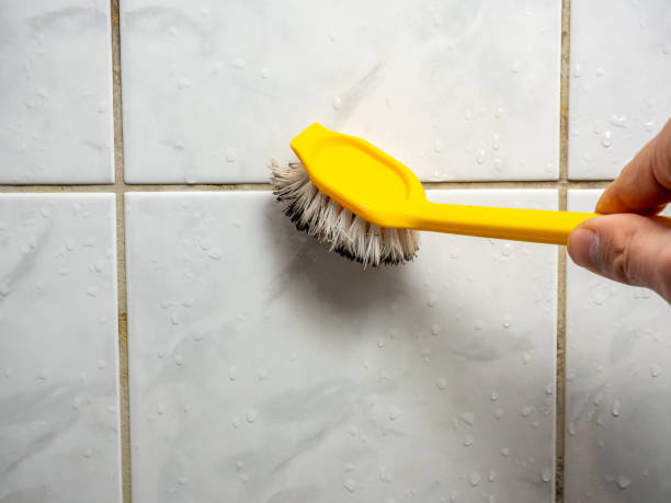 Best Mold Testing and Inspection Services in Woodlands, CA